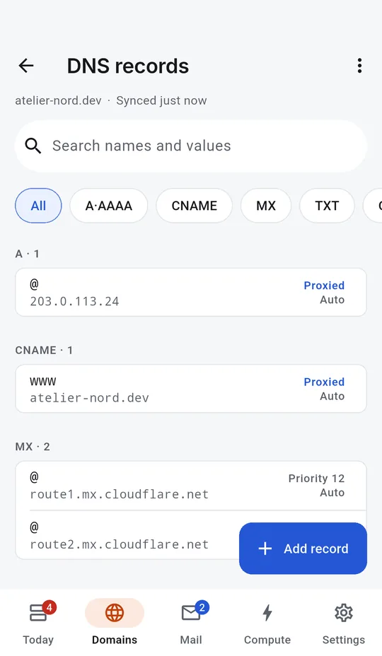 Android: A domain's DNS records, grouped by type.