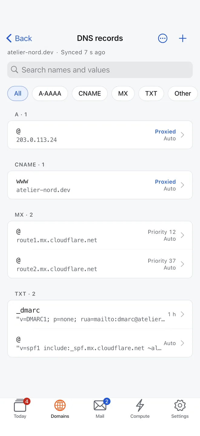 DNS records for a domain, grouped by type, with filters for A, CNAME, MX and TXT.