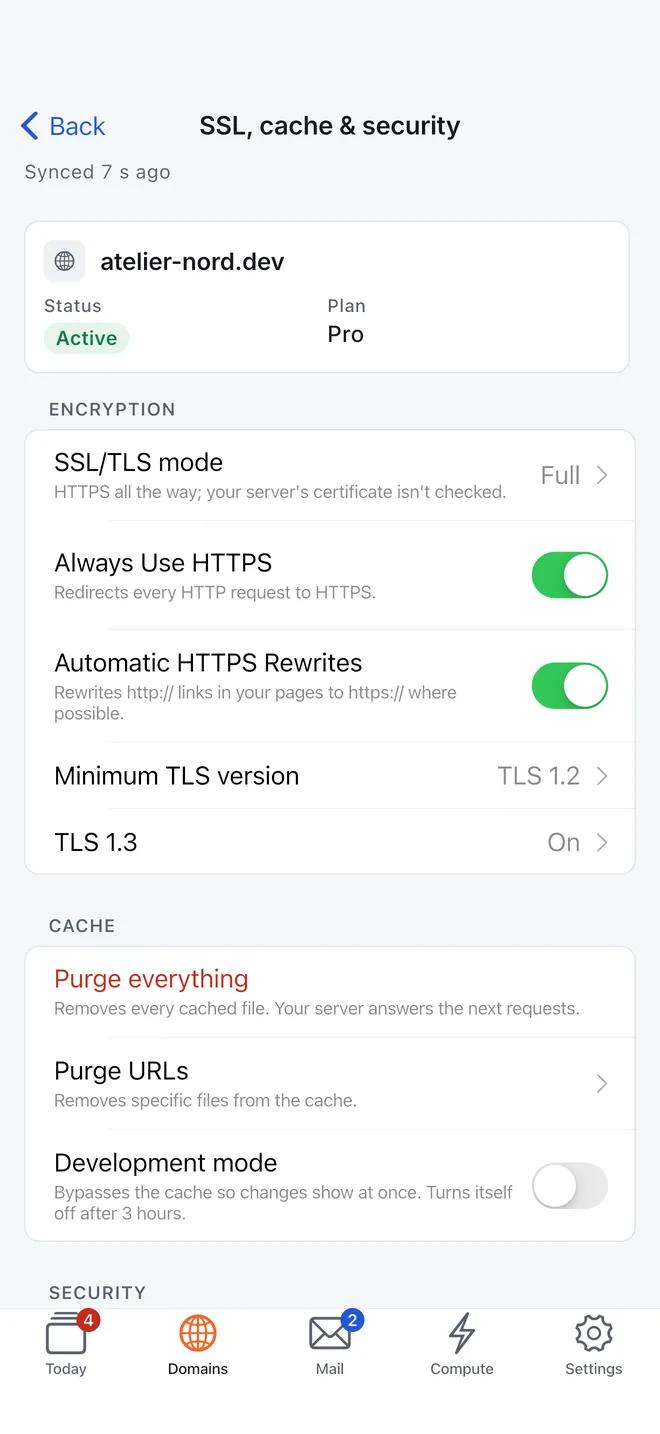 SSL, cache and security settings for a domain: encryption mode, HTTPS switches, cache purge and development mode.